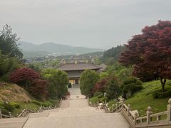-庐山风景名胜区-东林大佛