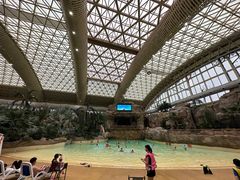 -杭州开元森泊度假乐园