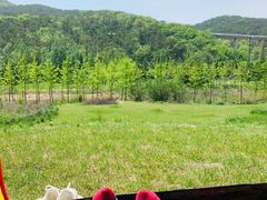 -棒棰岛宾馆景区