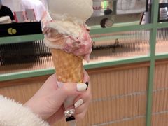 -LUNEURS月乐诗·法式冰淇淋(环贸店)