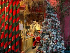 -溪岸路花鸟市场