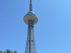 -龙塔