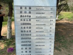 -长白岛森林公园