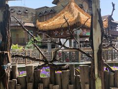-呀路古热带植物园