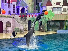 -台州海洋世界
