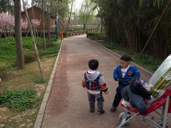 -白鹭湾湿地公园