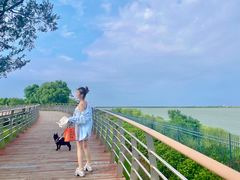 -江滩湿地公园