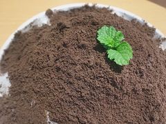 -斯利美甜品slimay dessert(滨江高教园店)