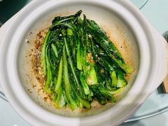 -三强鸽子(中原路店)