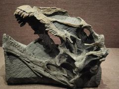 -自贡恐龙博物馆