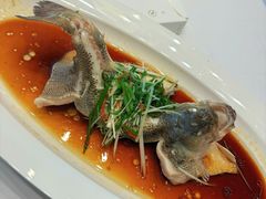 清蒸鲈鱼-院里寻菜·祖庵菜宴请(观沙岭店)
