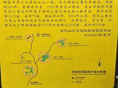 -普陀山慧济禅寺