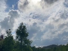 -东莞植物园