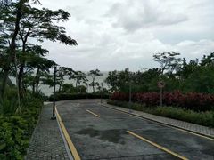-东澳岛