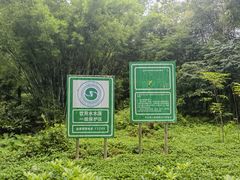 -田心森林公园