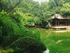 -汇龙潭