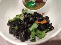 -天福苑(崇宁路店)