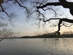 -浙江西子宾馆·瑶园咖啡厅