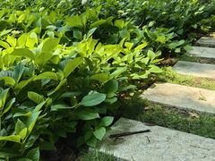 -金银湖国家城市湿地公园