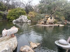 -昆明动物园