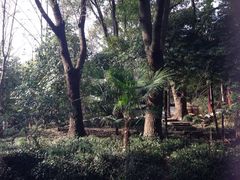 -汇龙潭