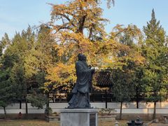 -苏州碑刻博物馆