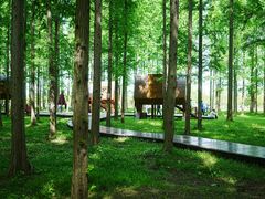 -黄海国家森林公园