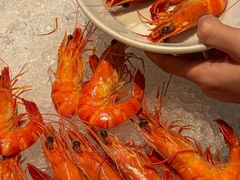 -君悦酒店·乐厨·高空自助餐(青年大街店)