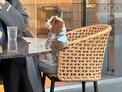 -无印良品餐堂 MUJI Diner(成都太古里店)