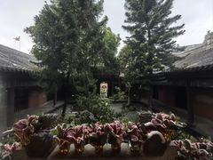 -重庆彩云湖湿地公园