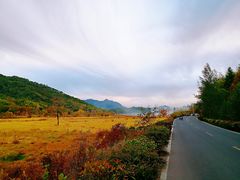 -塔川景区