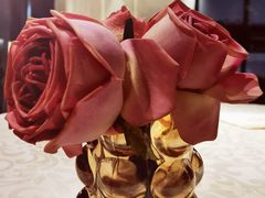 -桐爷小馆(广渠门店)