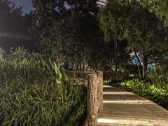 -成都市活水公园