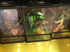 -悠尼宠物·独立低压伊珊娜洗护·美容·寄养(兰谷路店)