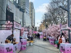 -金茂览秀城