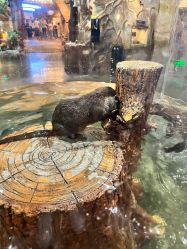 -Zoolung Zoolung动物主题公园(海信广场店)