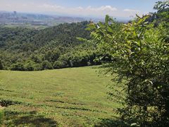 -敬亭山风景名胜区