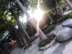 -100蛋泥浆浴