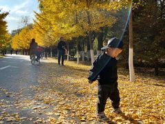 -长白岛森林公园