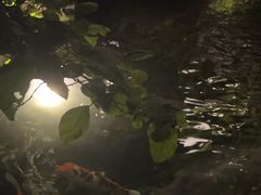 -花锦堂·隐庐