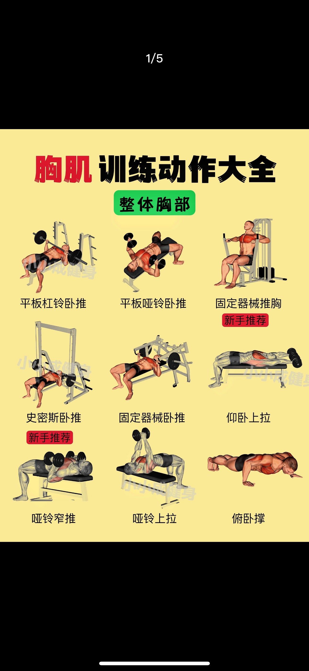 胸大肌训练,健身动作图解