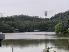 -深圳仙湖植物园