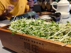 -阿庄新豫菜(航海东路店)
