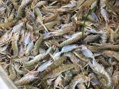 -荣祥海鲜·烟台菜(胜利路二部)