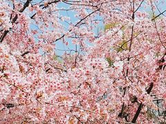 -白塘生态植物园
