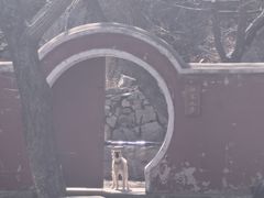 -天津盘山风景名胜区