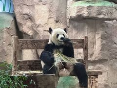 -无锡动物园·太湖欢乐园
