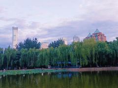 -团结湖公园