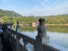 -深圳仙湖植物园