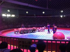 -西安秦岭野生动物园